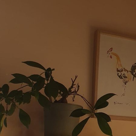 Repos 2 Etoiles Au Calme Pour Deux Lucy-sur-Cure エクステリア 写真